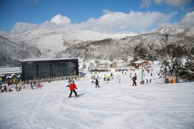 ⛷️ 유토피아 사이오토 이미지 2